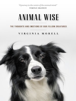 Animal Wise - ebook